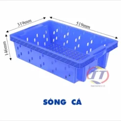 Sóng cá