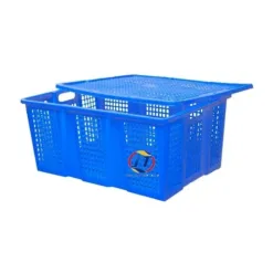 Sóng nắp lớn