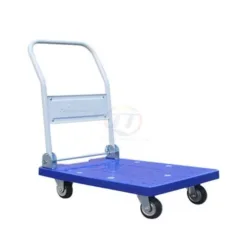 Xe đẩy 4 bánh TT-100DN